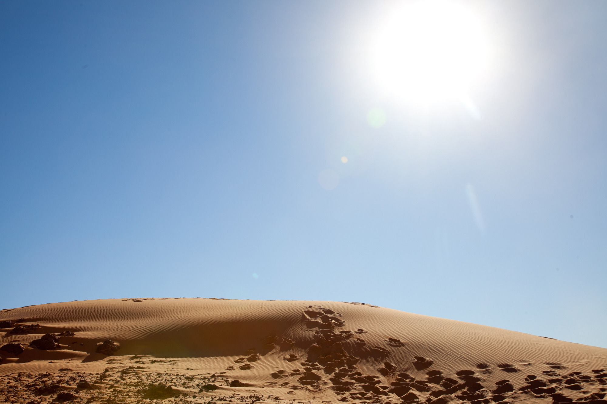 Kam Kam Dunes Merzouga Eksteriør billede