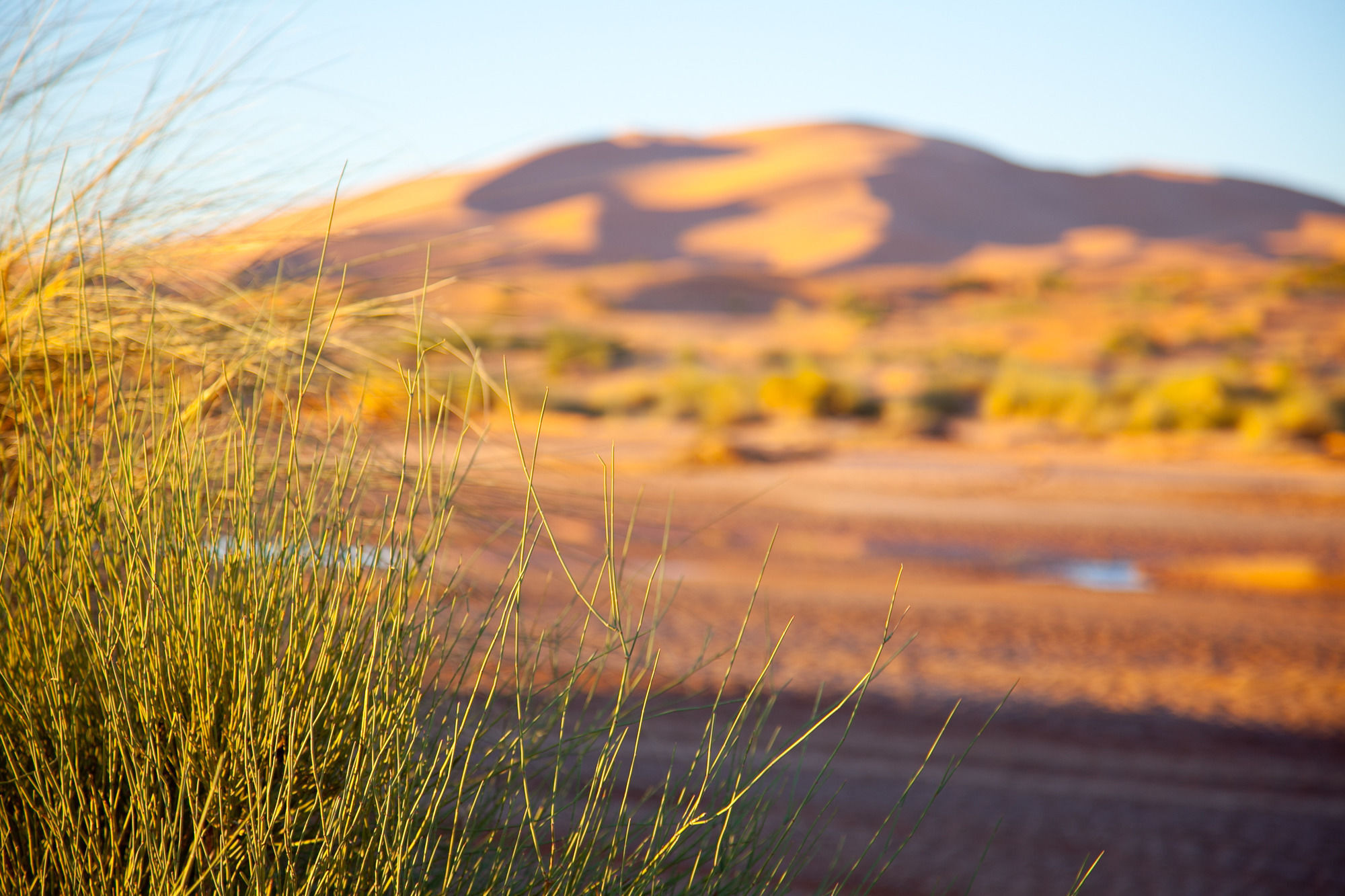 Kam Kam Dunes Merzouga Eksteriør billede