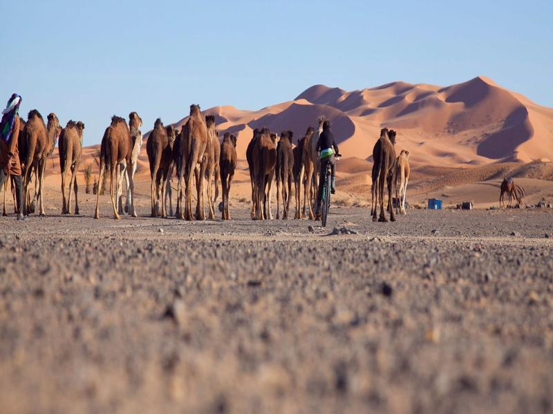 Kam Kam Dunes Merzouga Eksteriør billede
